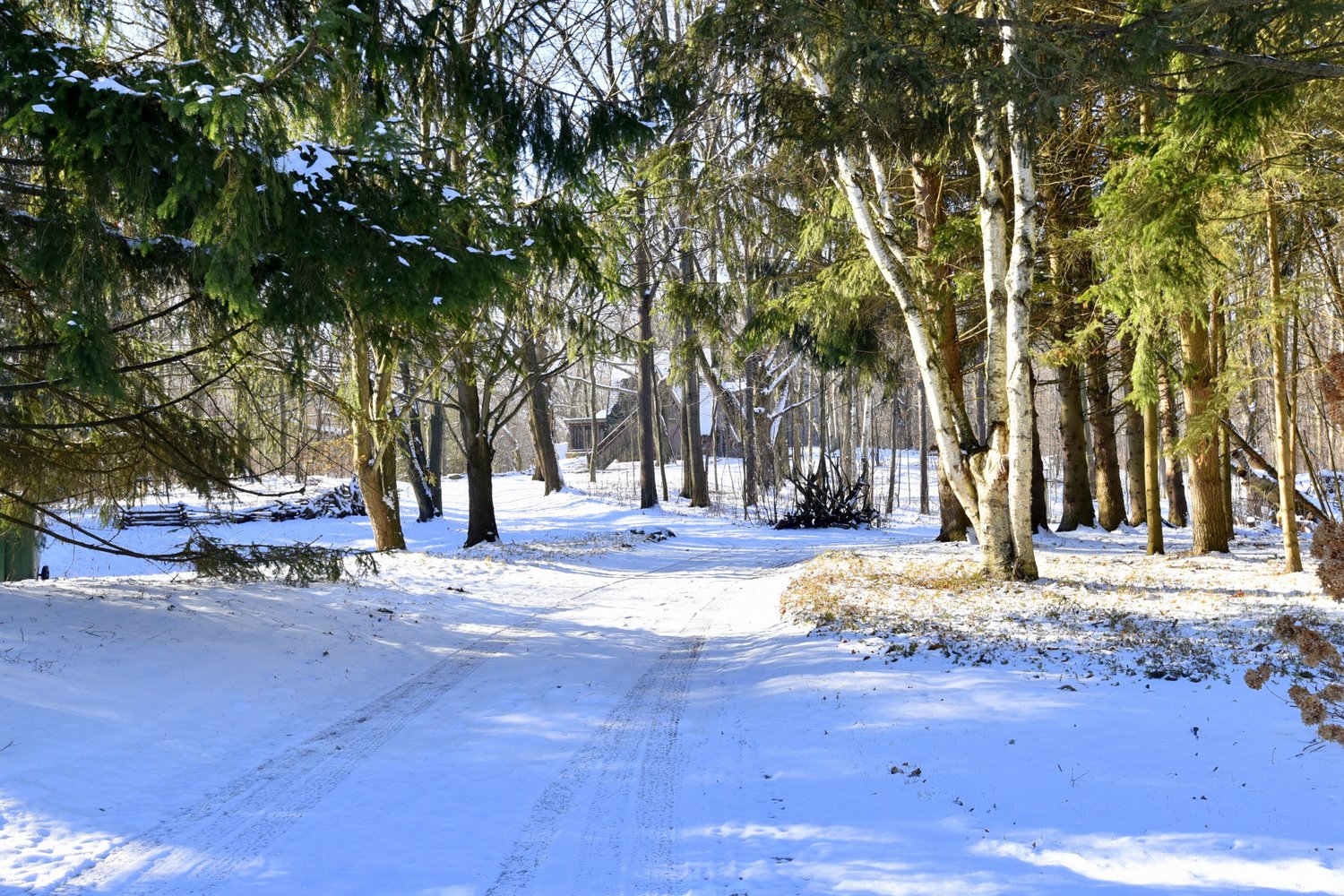 Winter Laneway View