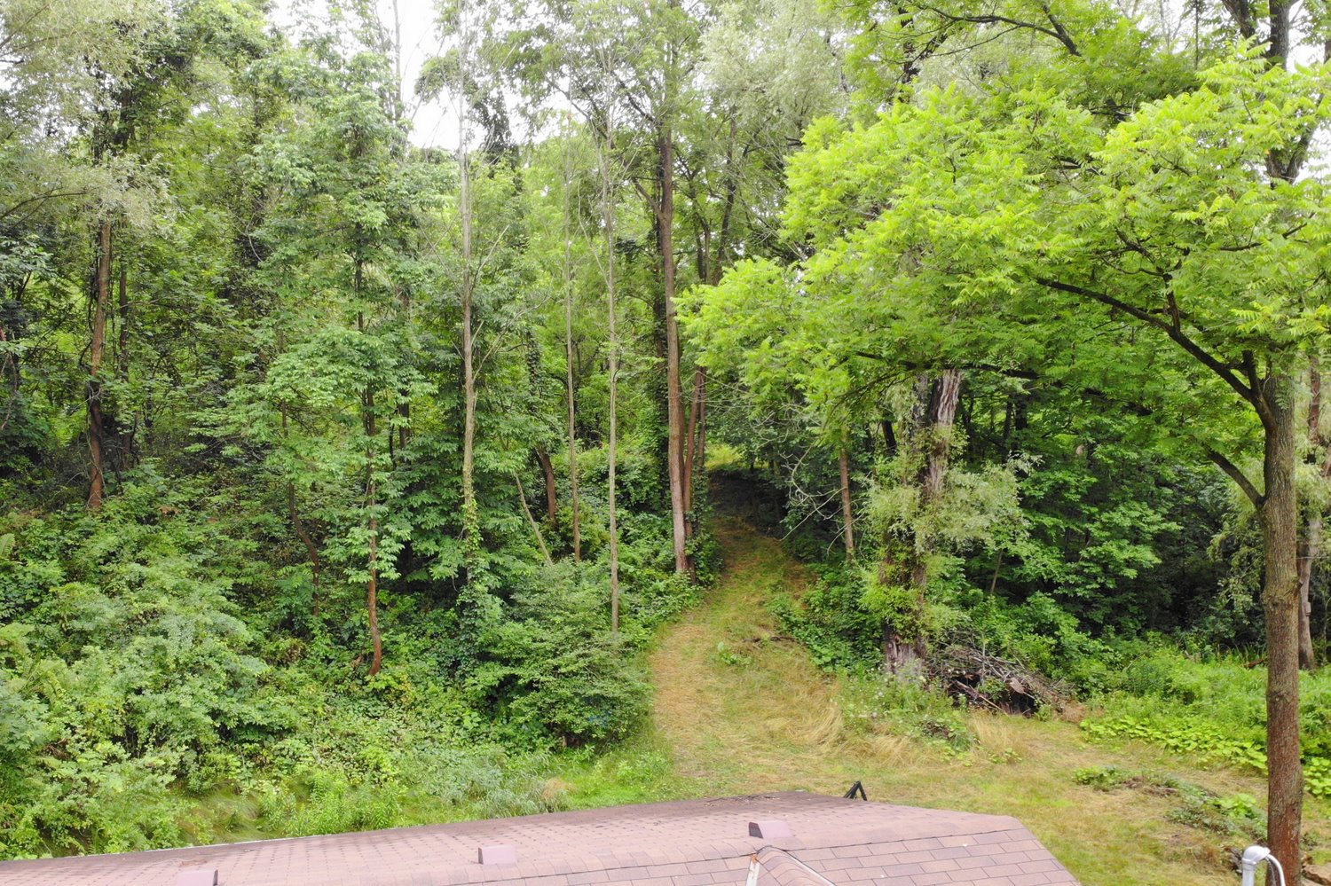 Backyard View of Trail