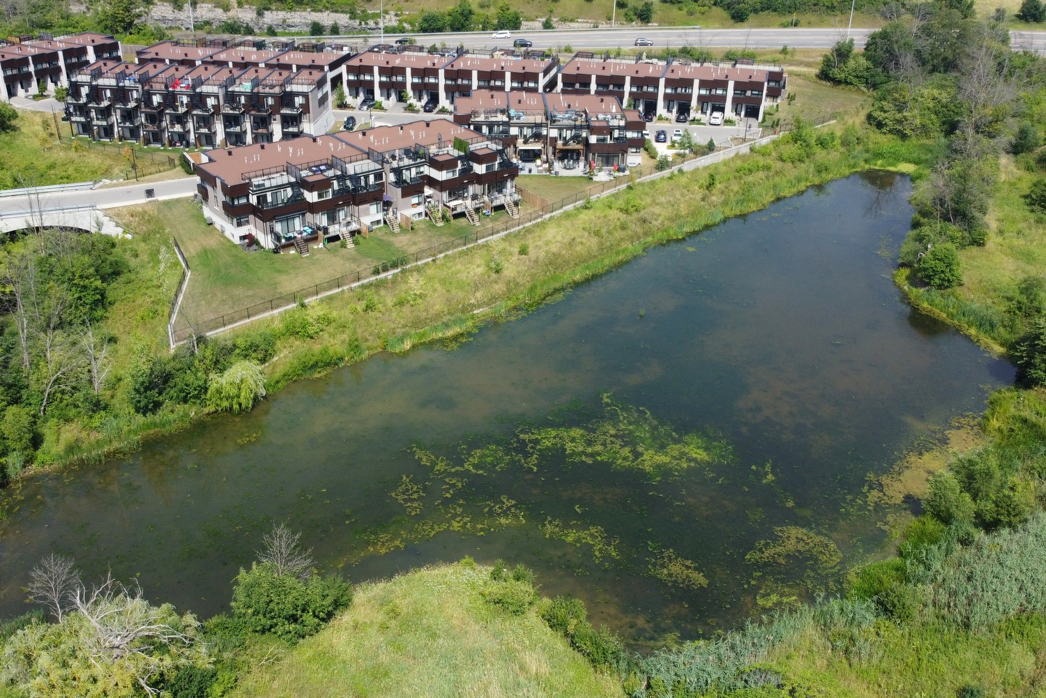 Front Pond Aerial
